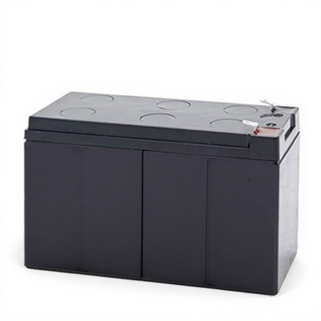 Alpha PINBP2000/3000T (033-751-20) batterie