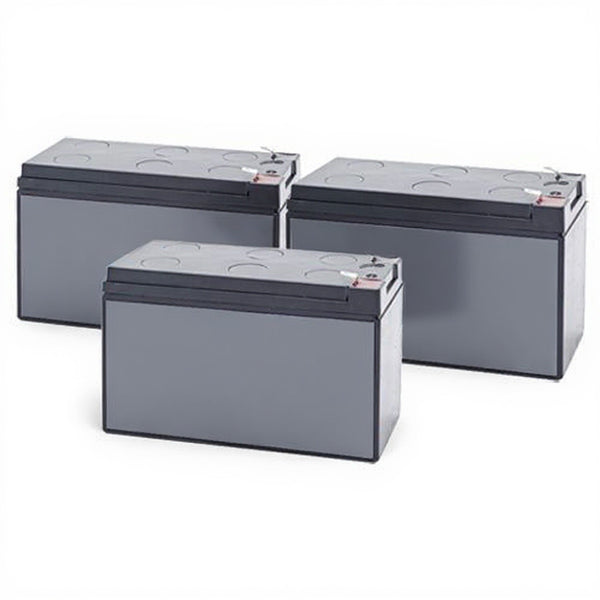 Batterie de remplacement Emerson Liebert PS-1000MT