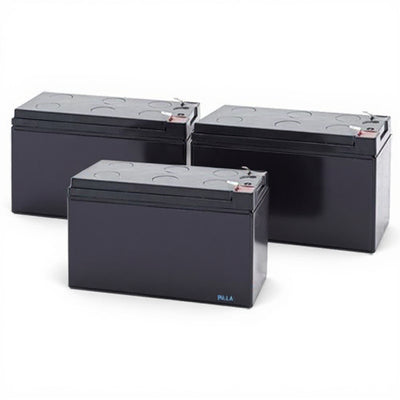 Tripp Lite SMART1500RM2UN Battery