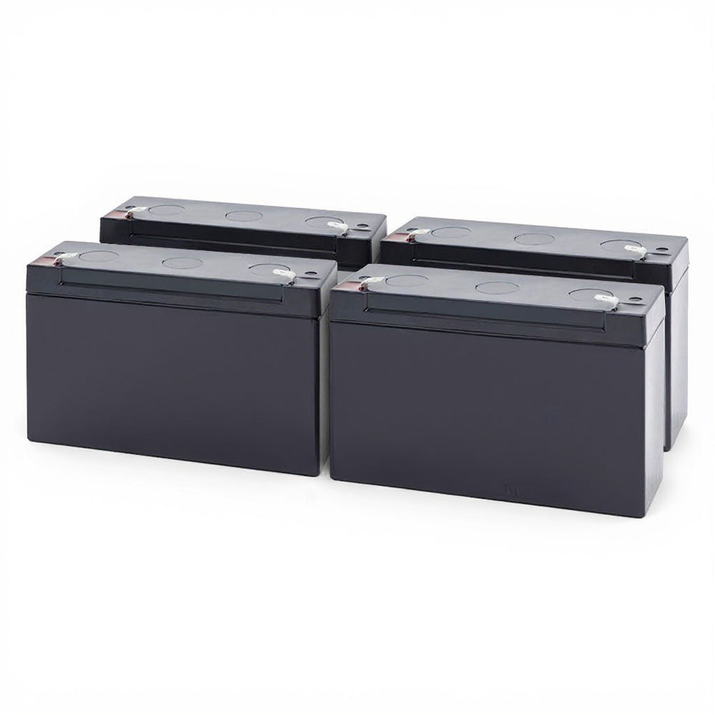 batterie de remplacement pour Minuteman 550 M550
