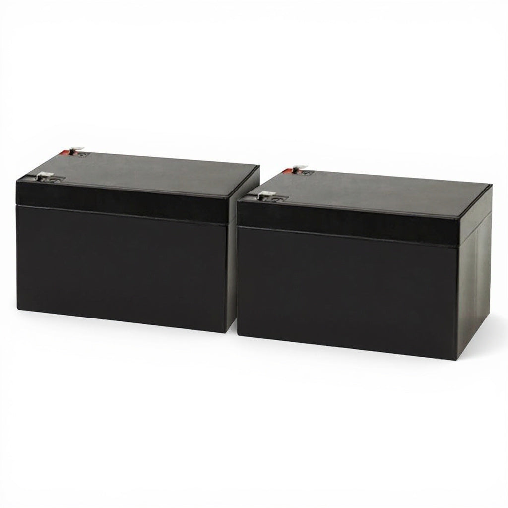 Minuteman M-PRO-1000i Battery