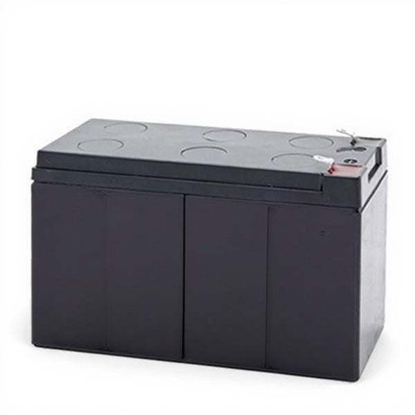 Alpha PINBP2000/3000T (033-751-20) batterie