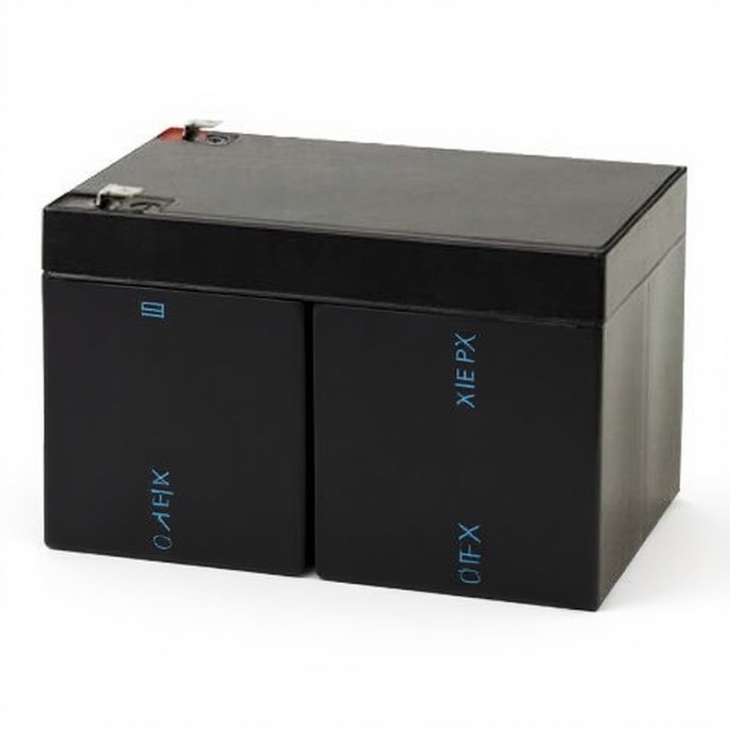 APC BP650SX107 batterie
