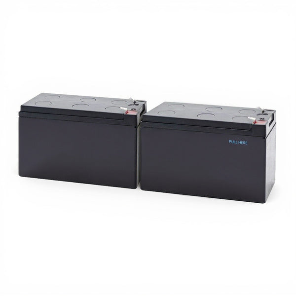 Tripp Lite SU1000RTXLCD2U batterie