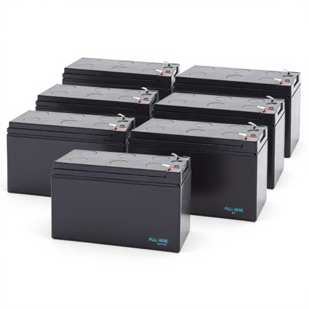 Minuteman MM1000-CP-1 Battery