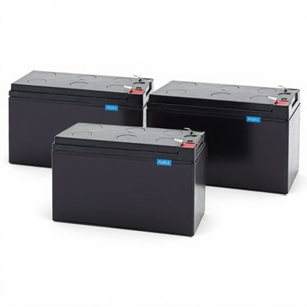 Alpha ALI Plus 1000 (017-737-14) Replacement Battery Kit