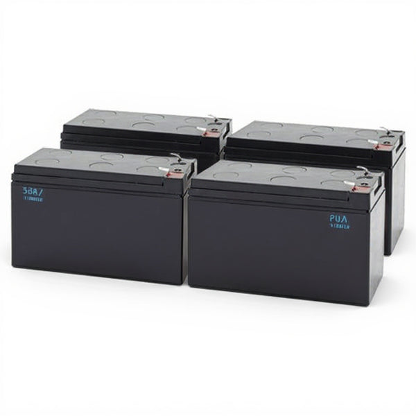 Alpha ALI Elite 1000XL-RM (017-747-81) Battery