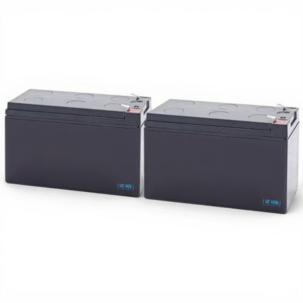 Tripp Lite SMART750XLA batterie
