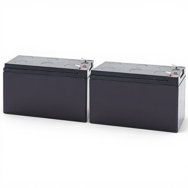 batterie de remplacement pour Tripp Lite 1000VA SM1000RMNAFTA