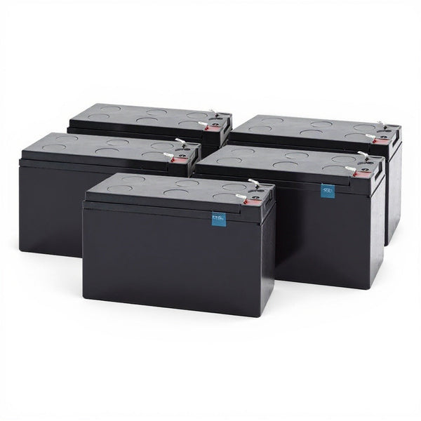 Batterie de remplacement UPS IntelliPower FA00384 (ensemble)
