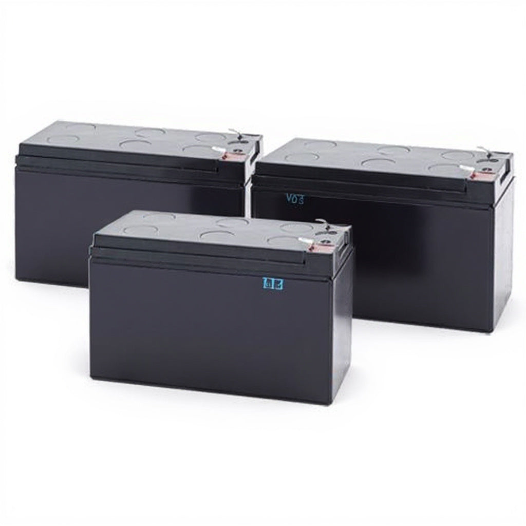 Alpha Pinnacle Plus 1000T (017-751-10) Battery