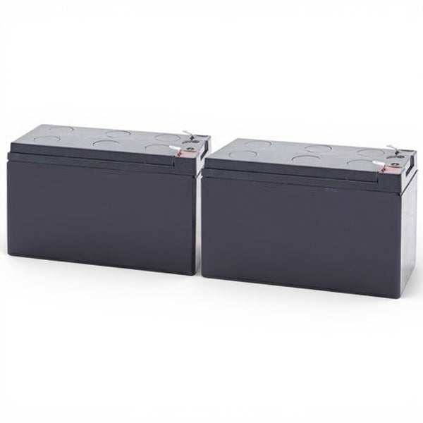 Tripp Lite SMART1050SLTAA batterie