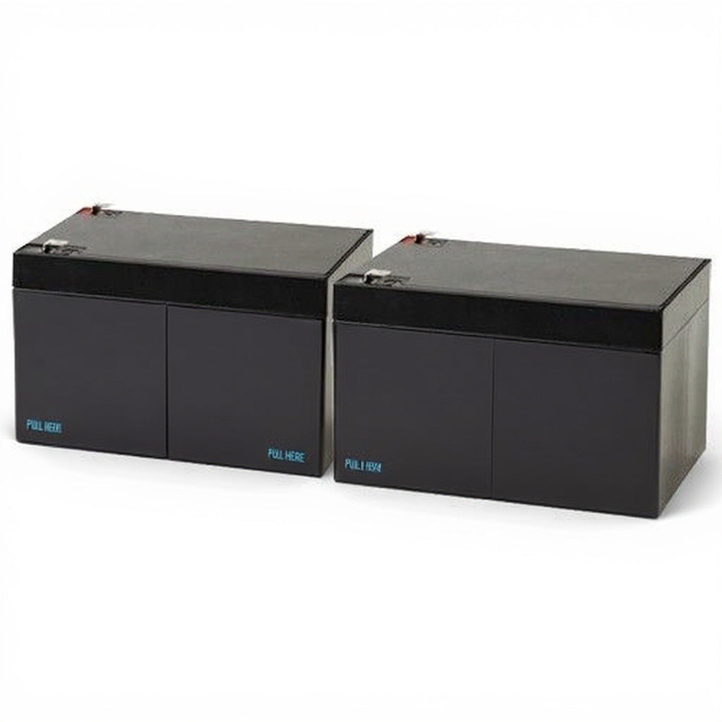batterie de remplacement pour APC Back-UPS Pro 2000VA SU2000R3X155
