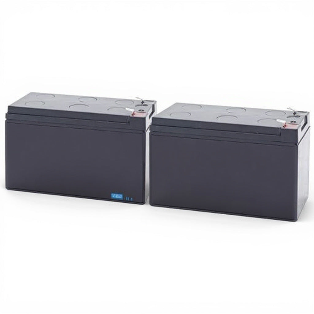 APC Back-UPS 1100VA batterie - compatible avec BR1100CI
