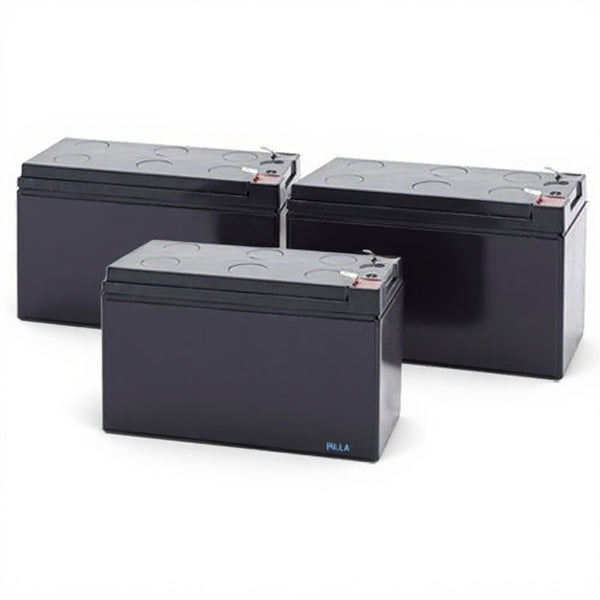 Tripp Lite SMART1500RM2UN batterie