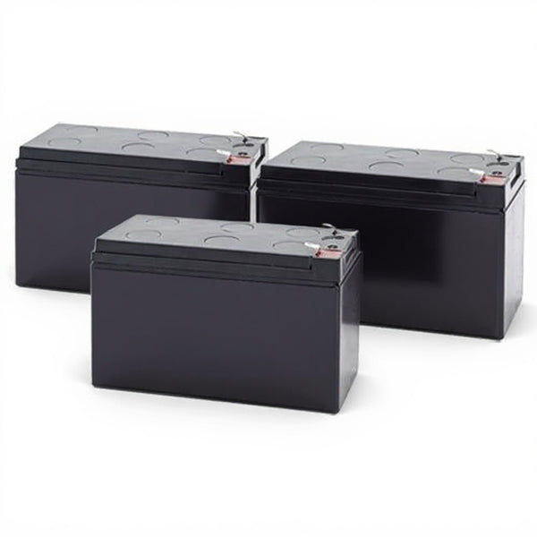 Tripp Lite SMART1500XL batterie