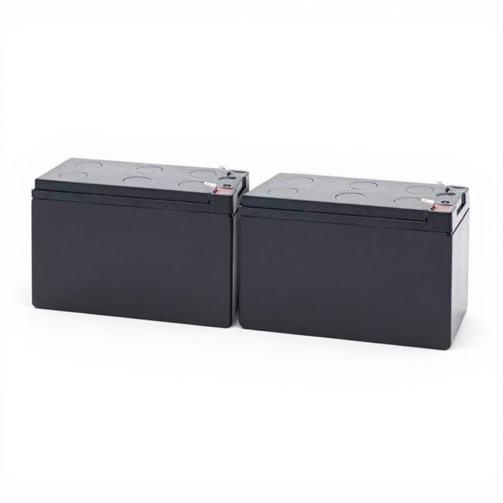 Minuteman M-MM300SS-1 Replacement Battery Kit