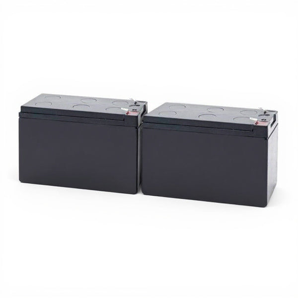 Minuteman M-MM300SS-1 Replacement Battery Kit