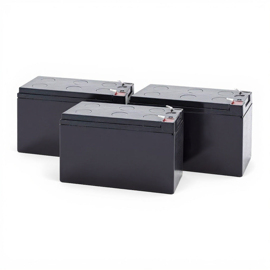 Eaton 9SX1000 Battery