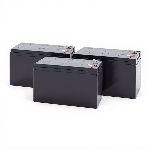 Eaton 9SX1000 Battery