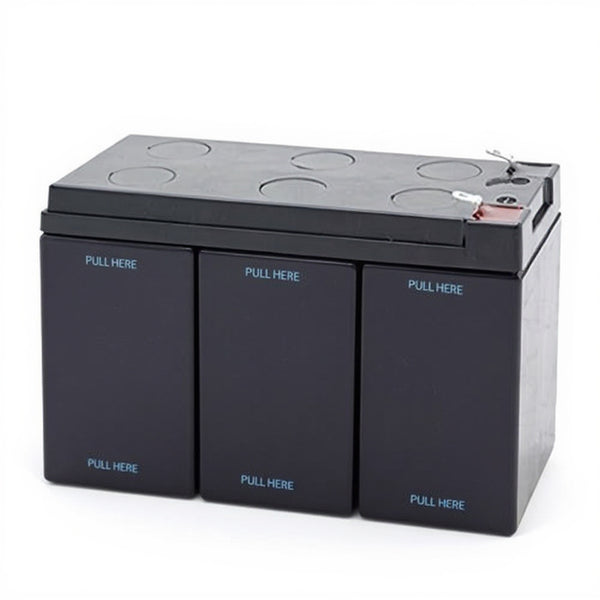 Tripp Lite SMART5000XFMRXL batterie