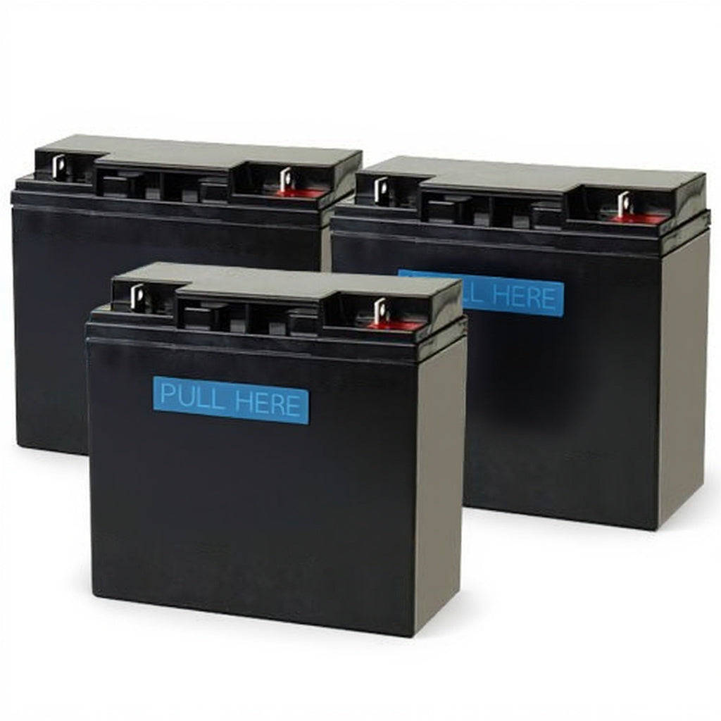 batterie pour Alpha UPS 1000 UPS