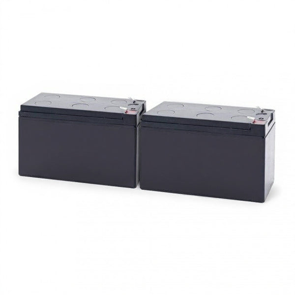 Minuteman MM300SS-1 Battery Replacement Kit for MM300SS/1