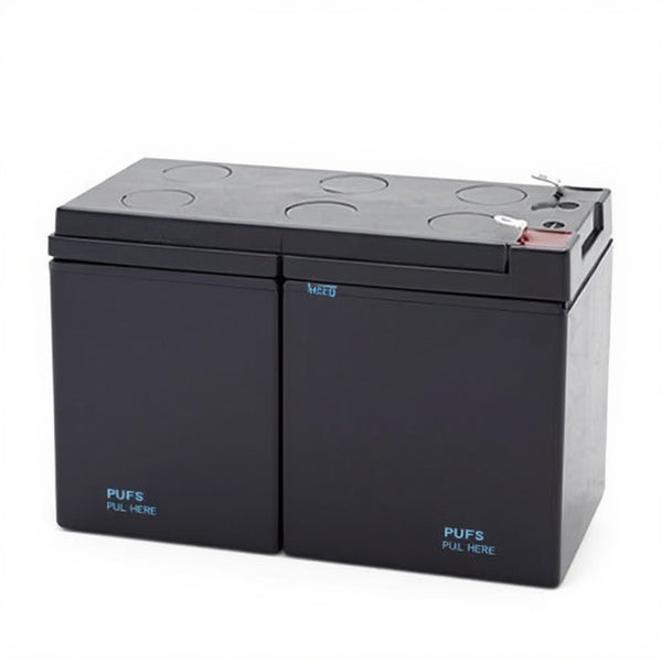 Alpha PINBP1000/1500T (033-751-10) batterie
