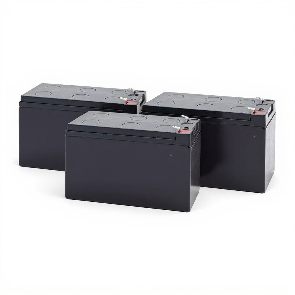 Eaton EX1000 Battery
