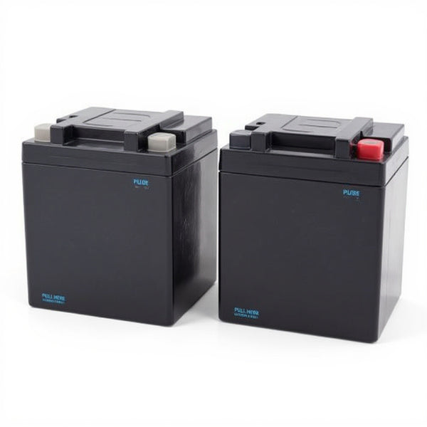 Tripp Lite OMNIVS1500LCD batterie