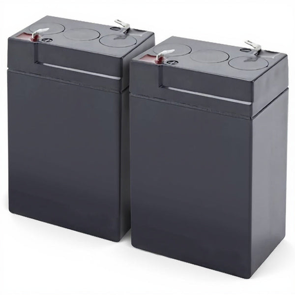 Deltec PRB250 Replacement Battery Set