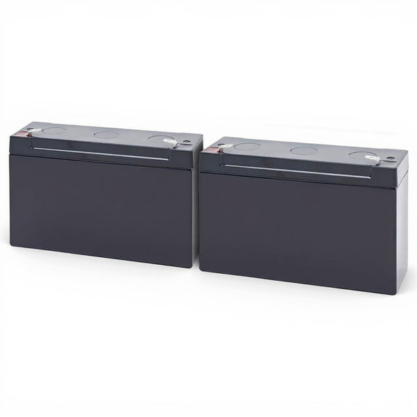 batterie pour Tripp Lite SMARTINT700 UPS
