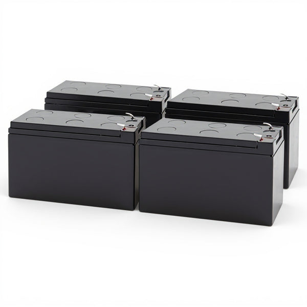Tripp Lite SMARTINT3000VS batterie