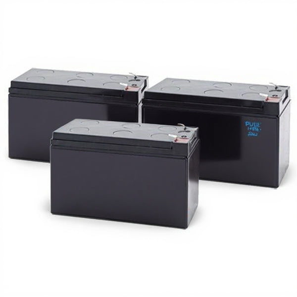 Battery for Alpha Pinnacle Plus 1000RM (017-751-122) UPS