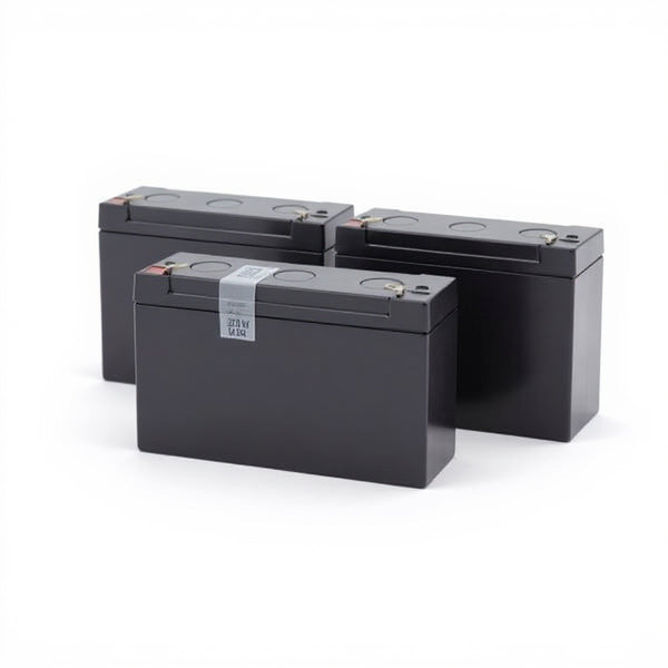 Tripp Lite OMNISMART1050 batterie