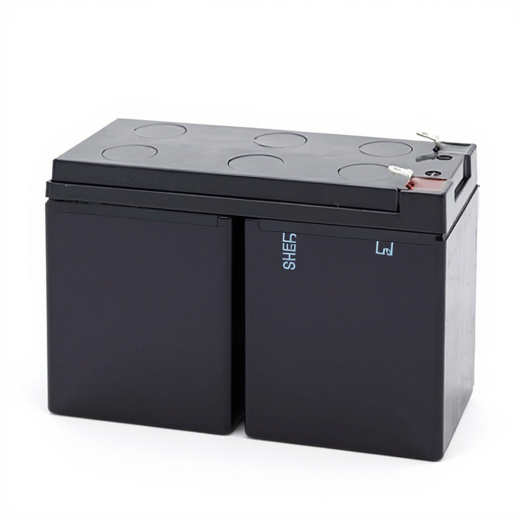 batterie pour Tripp Lite SU8000RT3UHW UPS