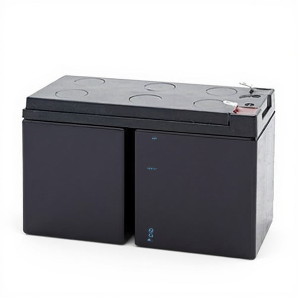 Tripp Lite SU10K3-1X batterie