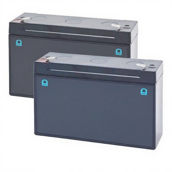 Tripp Lite OMNIVS1000 Battery