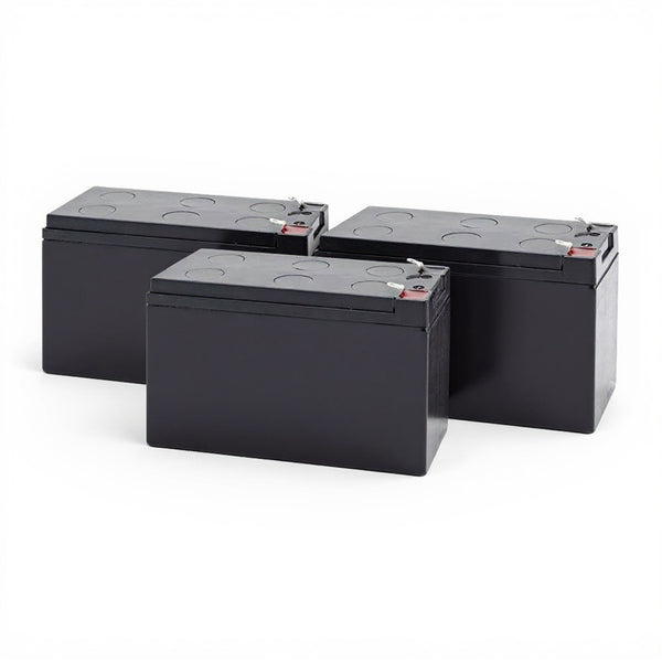 Tripp Lite SU1000RT2U batterie