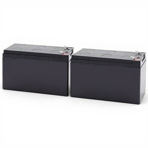 Tripp Lite SMART1500LCD batterie