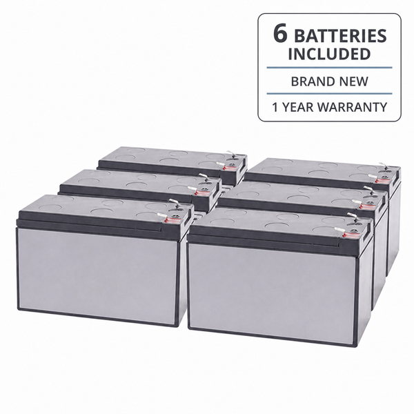 6 batteries included, brand new, 1 year warranty