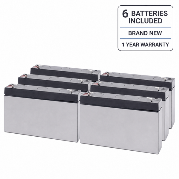 6 batteries included, brand new, 1 year warranty